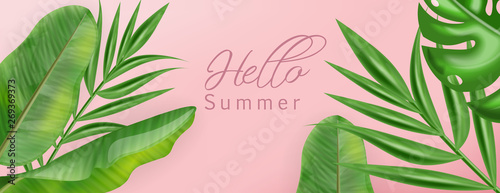 Tropic palm leaves Vector realistic. summer background template cards