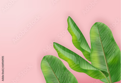 Tropic palm leaves Vector realistic. summer background template cards