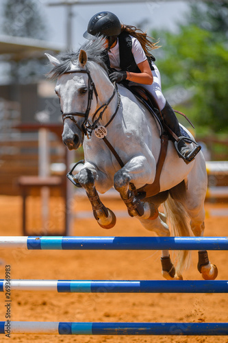 Close-up view on horse's legs during the jumping competition.