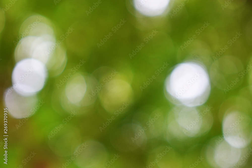 background with bokeh background with bokeh