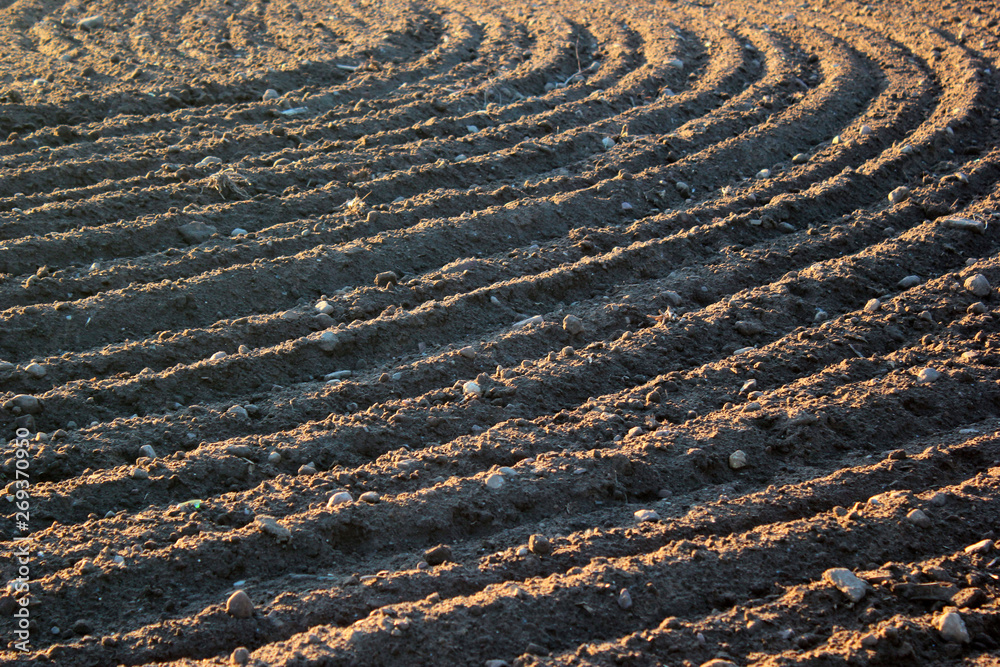 Ploughed and tilled field Ploughed and tilled field