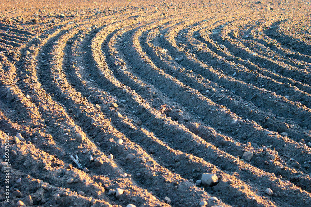 Ploughed and tilled field Ploughed and tilled field
