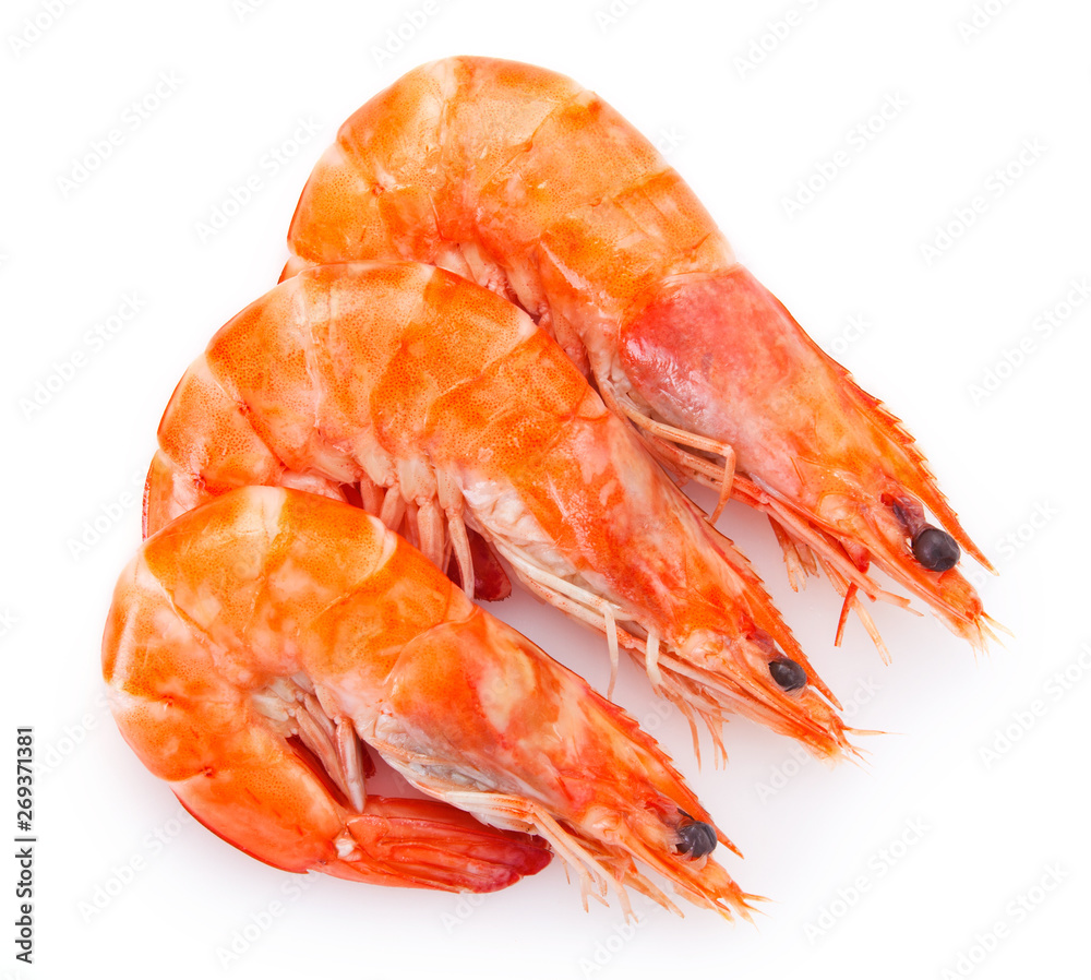 Cooked shrimp on white background