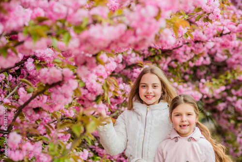 Girls posing near sakura. Kids on pink flowers of sakura tree background. Kids enjoying cherry blossom sakura. Botany concept. Flowers soft pink clouds. Children enjoy warm spring. Lost in blossom