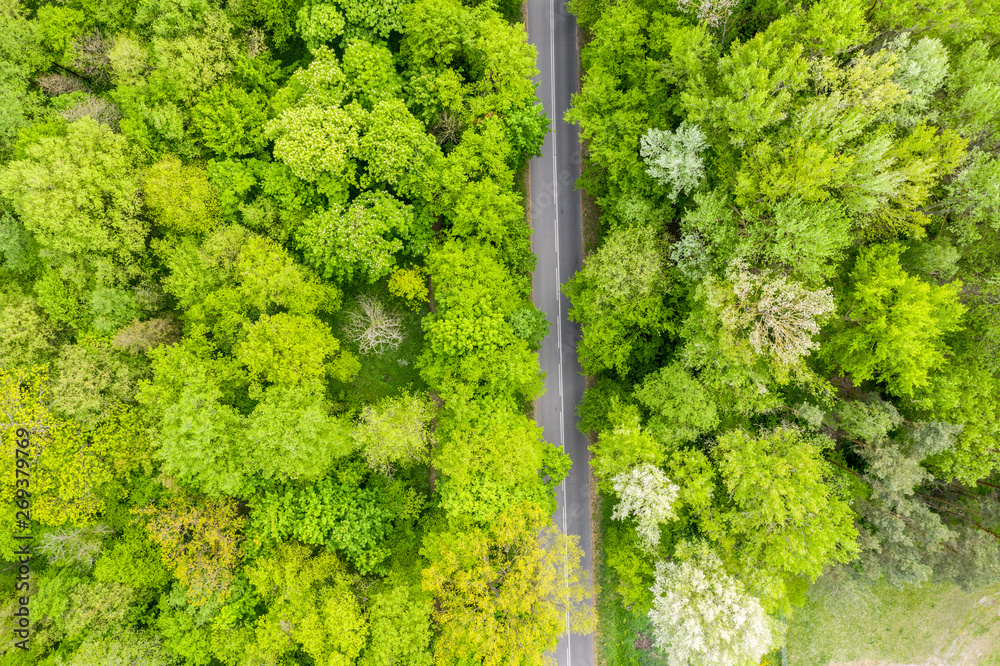 Aerial view of long road cutting through forest