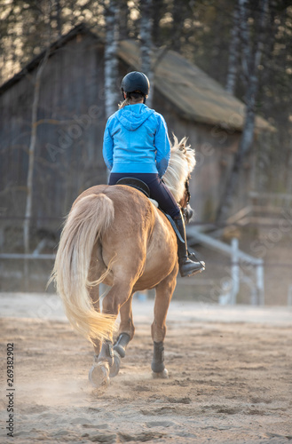 Woman horseback riding and showjumping © citikka