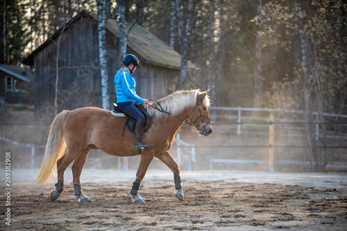 Woman horseback riding and showjumping