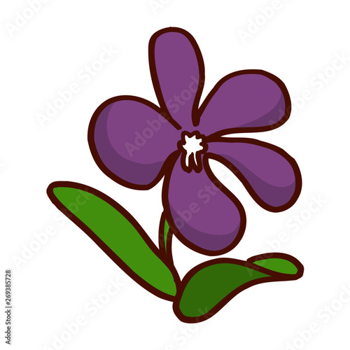 Colorful flower isolated on the white background for child