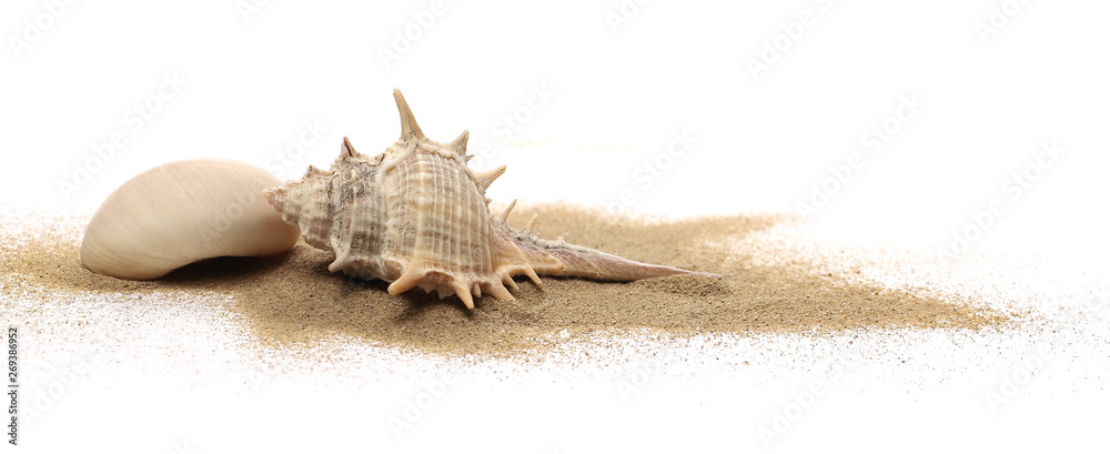 Fototapeta premium Sea shells in sand pile isolated on white background