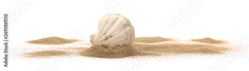 Foto Sea shell in sand pile isolated on white background