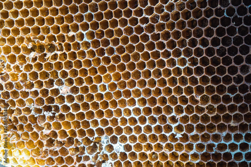 Close up of abandoned beehive