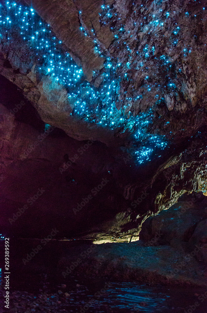 Bioluminiscent Glow Worms shining in Waipu Caves, Northland, North