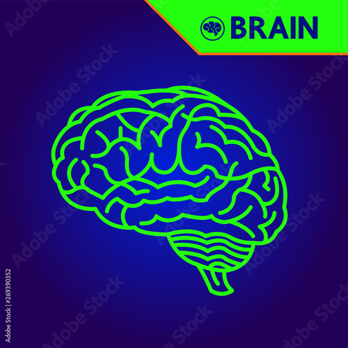 Creative Human Brain grand vector illustration.