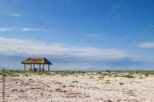 Wooden gazebo with a roof of reeds in the steppe. Blue sky  steppe grass and flowers.