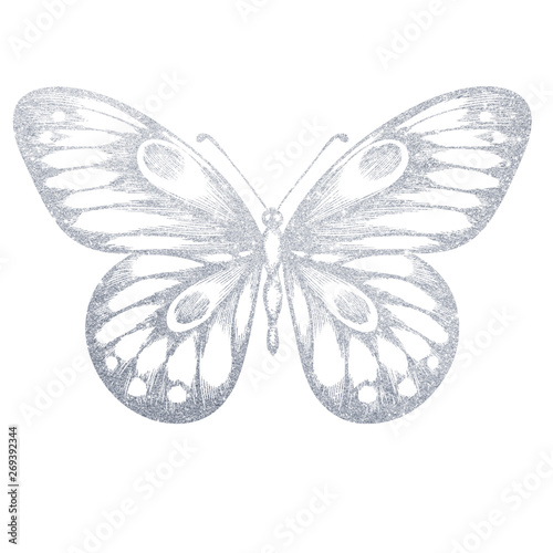 Canvas Print A hand-drawn silver butterfly. Illustration on white background.