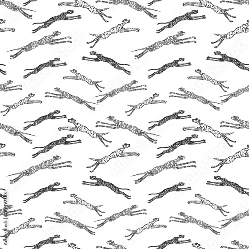 Canvas Print Seamless background of wild cats jumping