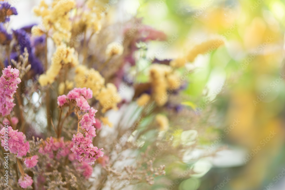 Beautiful dried flowers bouquet with colorful soft bokeh background Beautiful dried flowers bouquet with colorful soft bokeh background