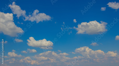 Beautiful photo of clouds in the blue sky  A flock of little clouds