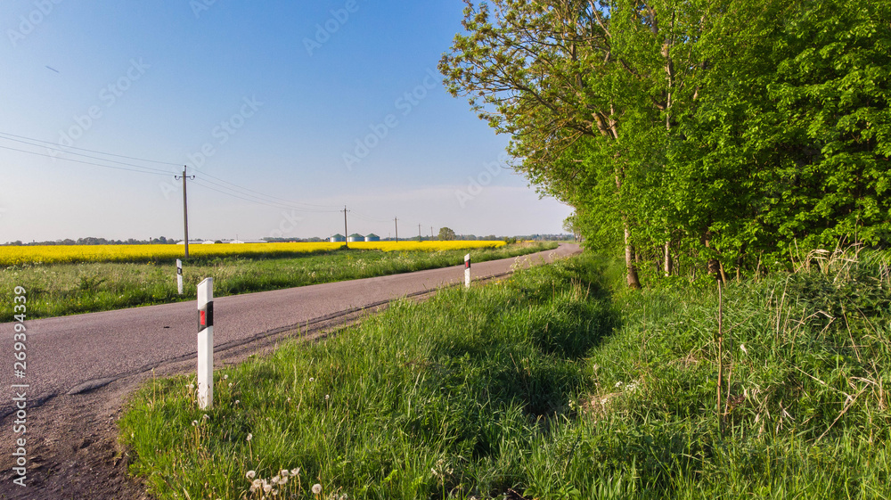 Beautiful view of the asphalt road, near a bright yellow field in the summer, countryside