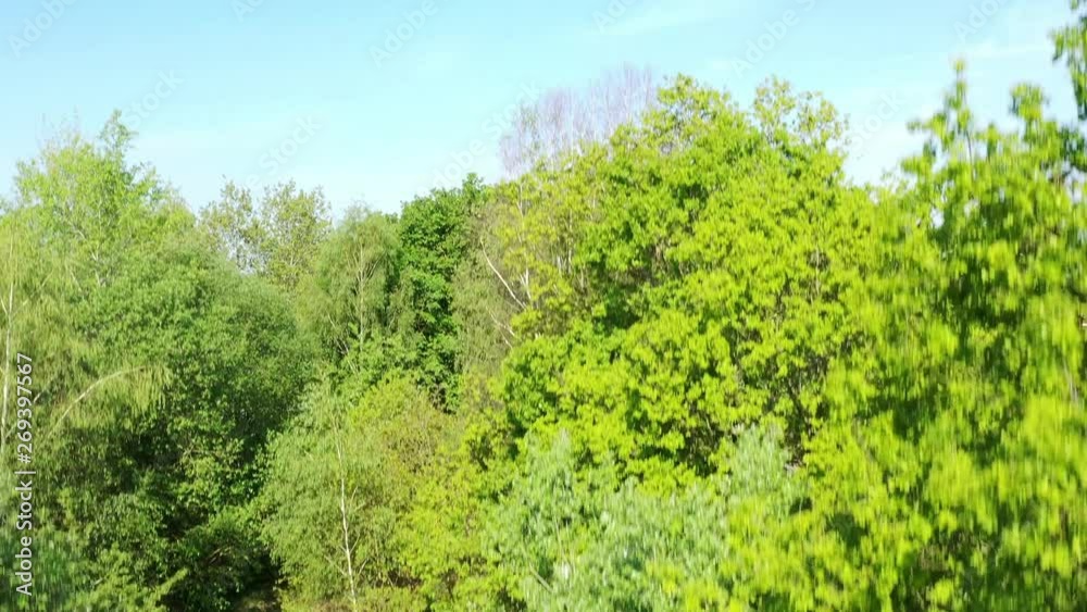 Aerial view of the drone ascent over the tops of the trees with a view of a field and the edge of a village with residential houses. Aerial view of the drone ascent over the tops of the trees with a view of a field and the edge of a village with residential houses.