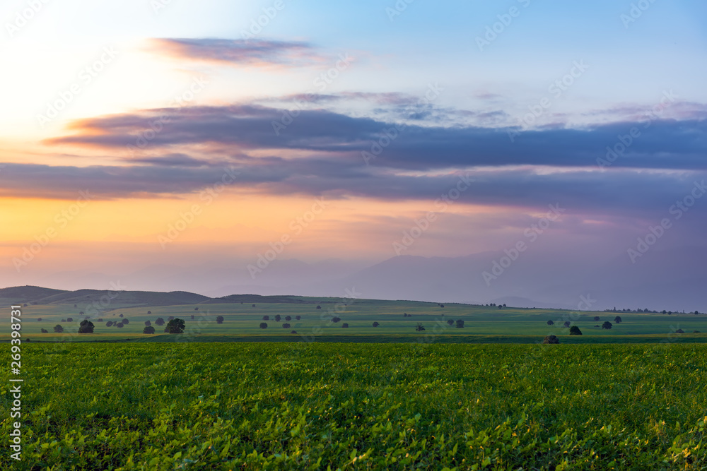 Farmland in the sunset time