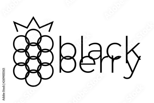blackberry logo