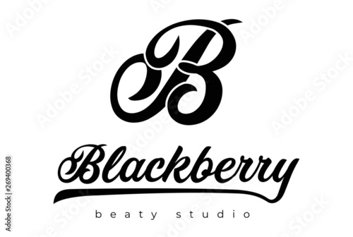 blackberry logo