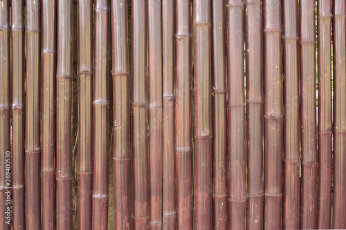 Old brown bamboo fence wall texture for background