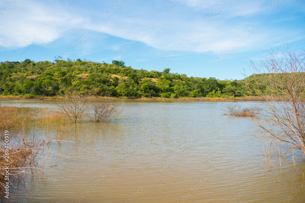 A view of Soizao Water Reservoir in midst of a preserved Caatinga forest in the countryside of Oeiras (Piaui, Brazil) A view of Soizao Water Reservoir in midst of a preserved Caatinga forest in the countryside of Oeiras (Piaui, Brazil)