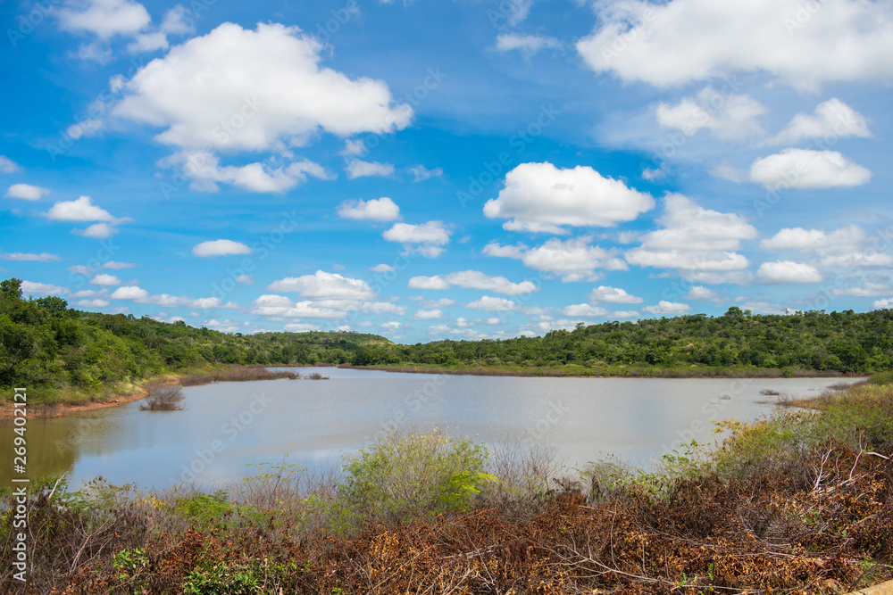 A view of Soizao Water Reservoir in midst of a preserved Caatinga forest in the countryside of Oeiras (Piaui, Brazil)