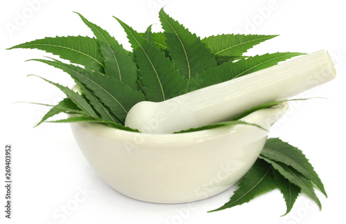 Medicinal neem leaves in a mortar