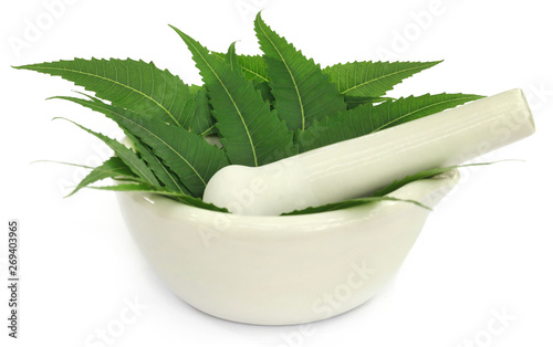 Medicinal neem leaves in a mortar