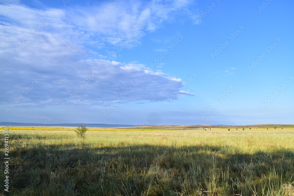 landscape with wheat field and blue sky