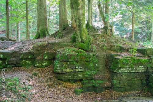 Unforgettable trek to the mountains in Gorgan  waterfalls. Rest in the Carpathians