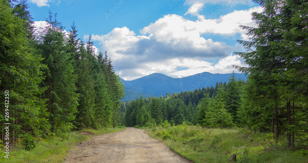 Fototapeta premium Unforgettable trek to the mountains in Gorgan, waterfalls. Rest in the Carpathians