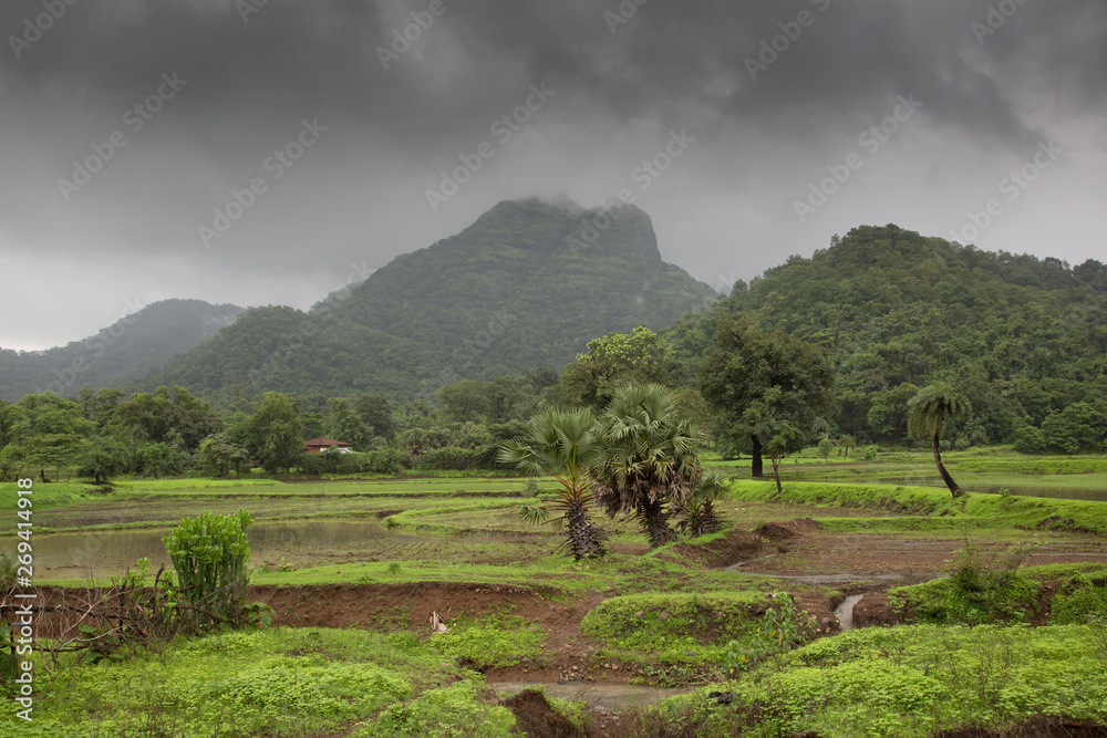 monsoon clouds on field monsoon clouds on field