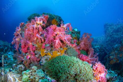 Wonderful and beautiful underwater in deep tropical sea and sun rays. Water texture in ocean with corals and tropical fish.