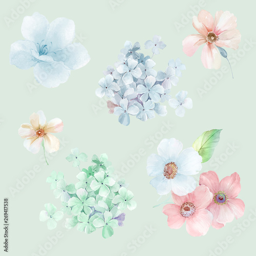 watercolor flowers set It s perfect for greeting cards wedding invitation  wedding design birthday and mothers day cards