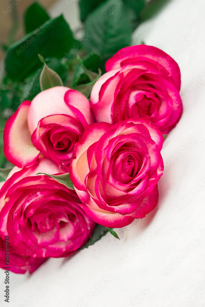 close up pink roses on bouquet on a white background close up pink roses on bouquet on a white background