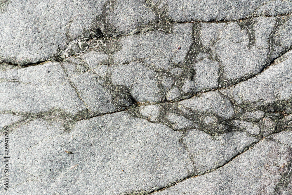 Obraz premium Close-up macro view of cracked stone surface gray color. Detailed nature background or pattern texture taken in natural environment. Weathered many years, inimitable and unique effect textured design.