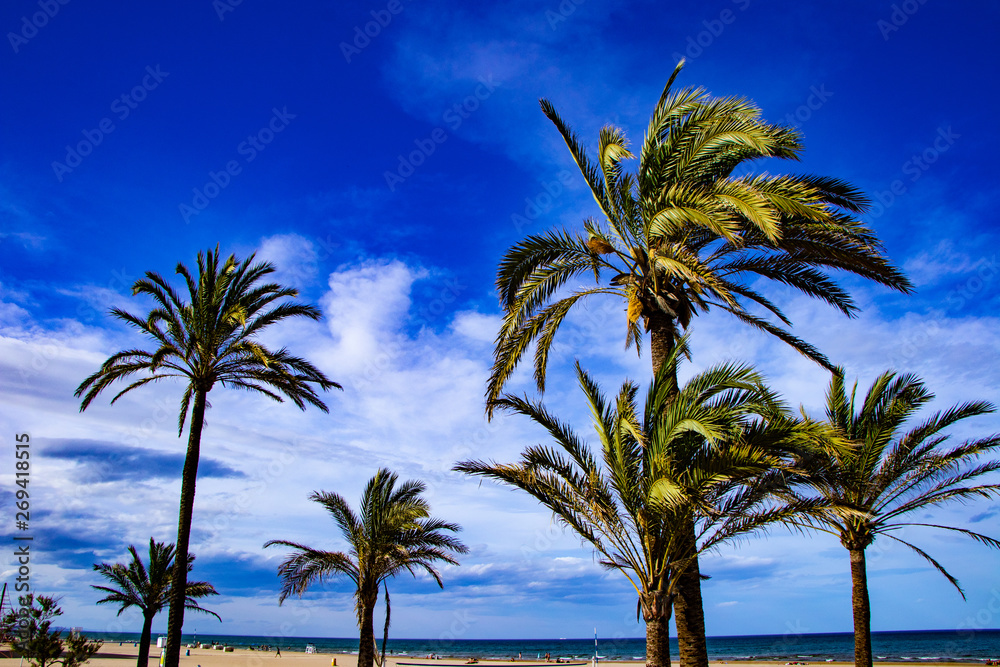 Fototapeta premium Playa de Gandia