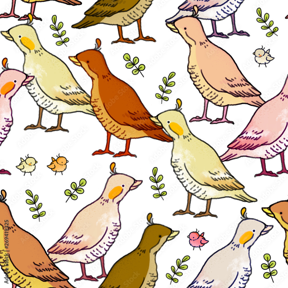 Seamless pattern with a bird. Farm ducks. Seamless pattern with a bird. Farm ducks.