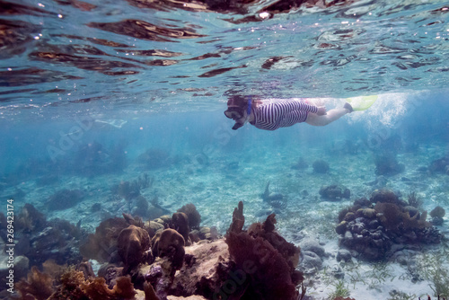 Woman snorkeling  Turneffe Atoll  Belize Barrier Reef  Belize