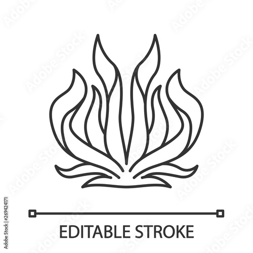 Century plant linear icon
