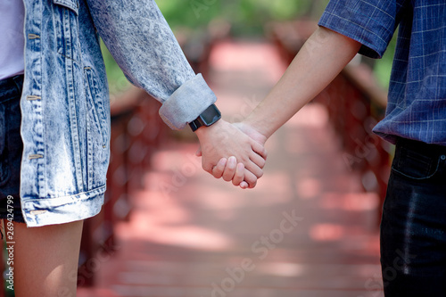 The couple holding hands shows love on the day of love. The Day of Love - Image