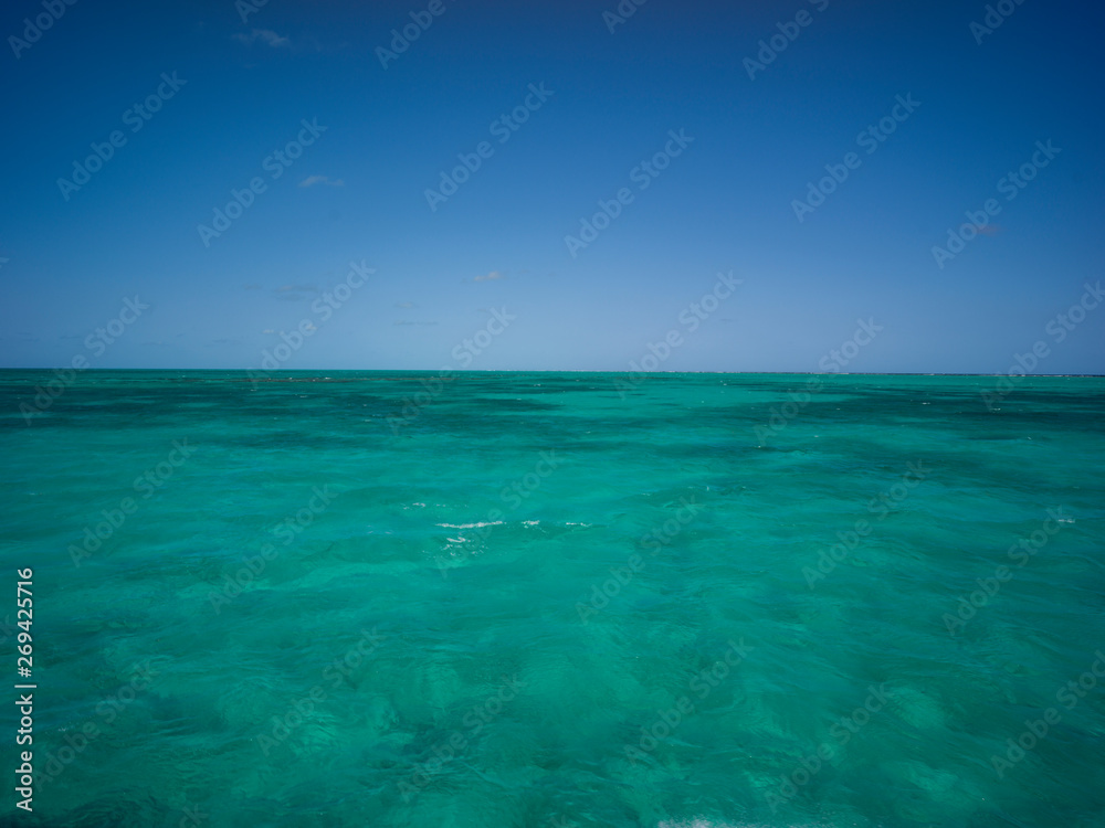 Caribbean Sea, Half Moon Caye, Lighthouse Reef Atoll, Belize