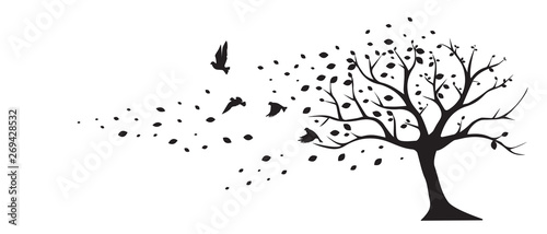 Tree wind leaves birds vector, wall decals, wall decor. Black Art design isolated on white background. Autumn season, tree in autumn