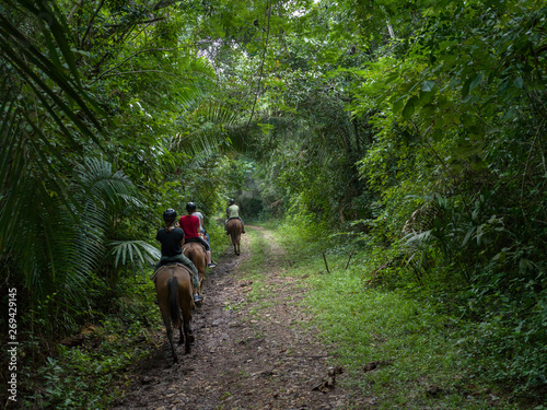 Tourists riding horses, Chaa Creek Road, Chaa Creek Nature Reserve, San Ignacio, Belize