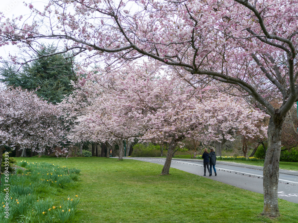 Two women walking in Beacon Hill Park, Fairfield, Victoria, British Columbia, Canada Two women walking in Beacon Hill Park, Fairfield, Victoria, British Columbia, Canada
