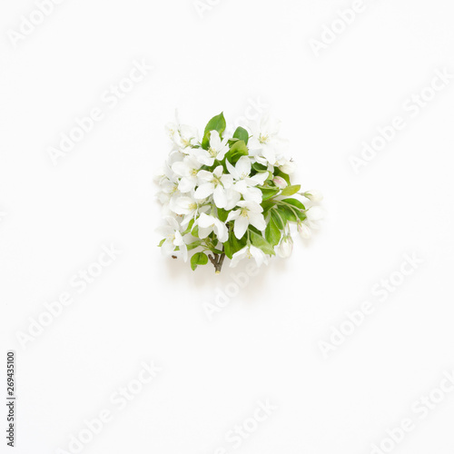 Branch blooming apple tree on white background. Mockup. View from above. - Image